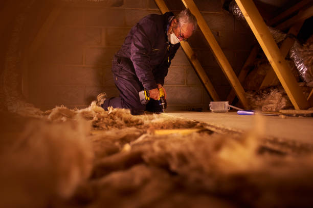 Insulation Replacement Services in Cheltenham Village, PA